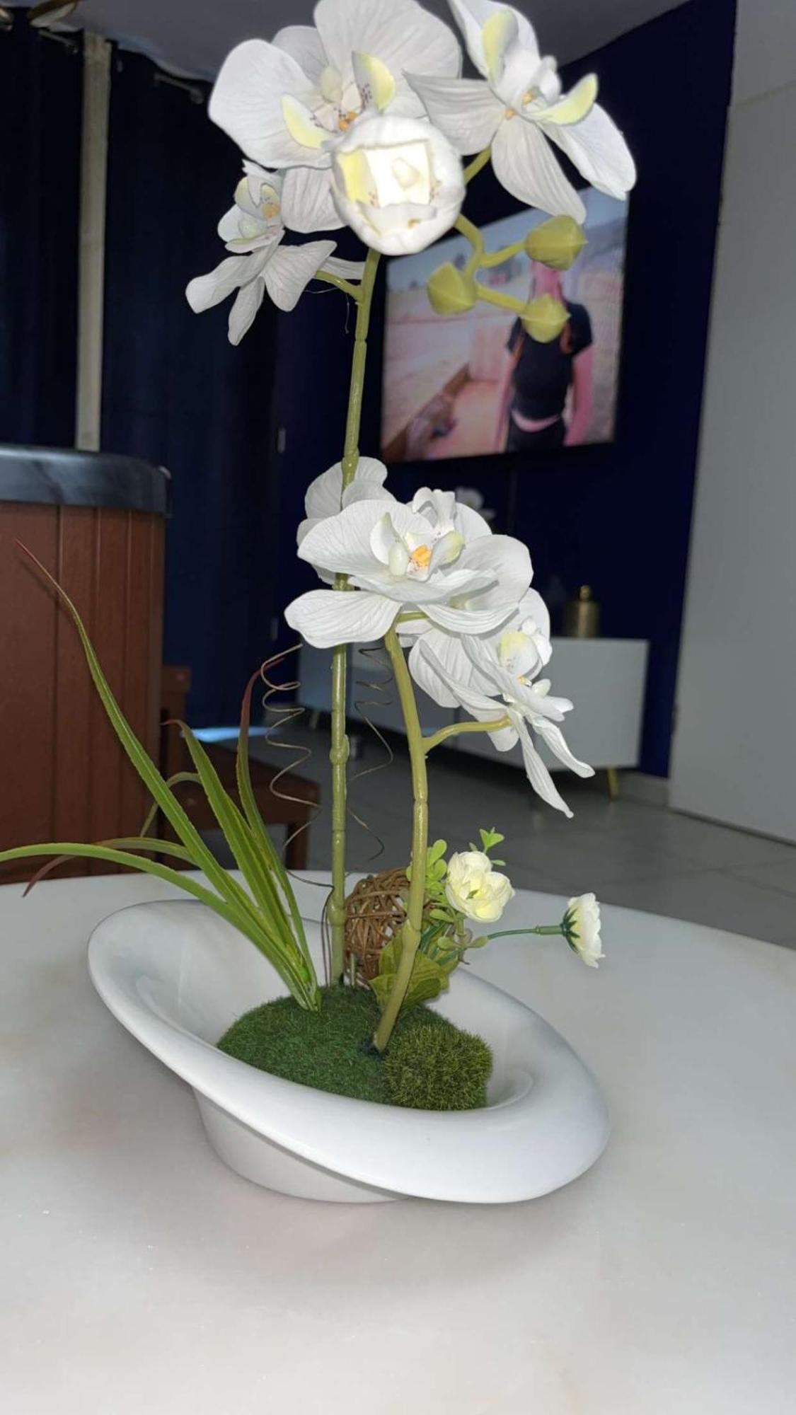 Suite Jacuzzi "Spa Privatif " Appartement Jacuzzi Toulouse Dış mekan fotoğraf